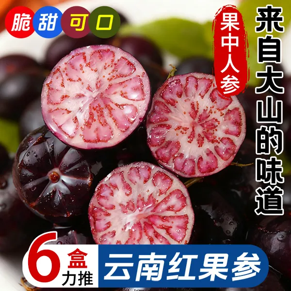 【正宗】云南红果参脆甜算盘果新鲜采摘高原水果非蓝莓蜘蛛果