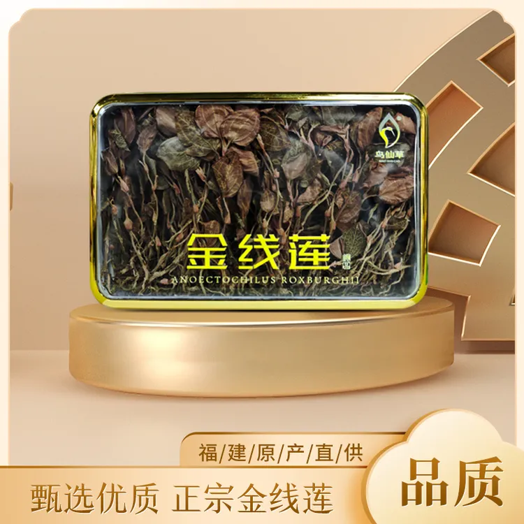 鸟仙草【金煌正品金线莲】福建林下原生态种植整株低温慢焙香味浓郁