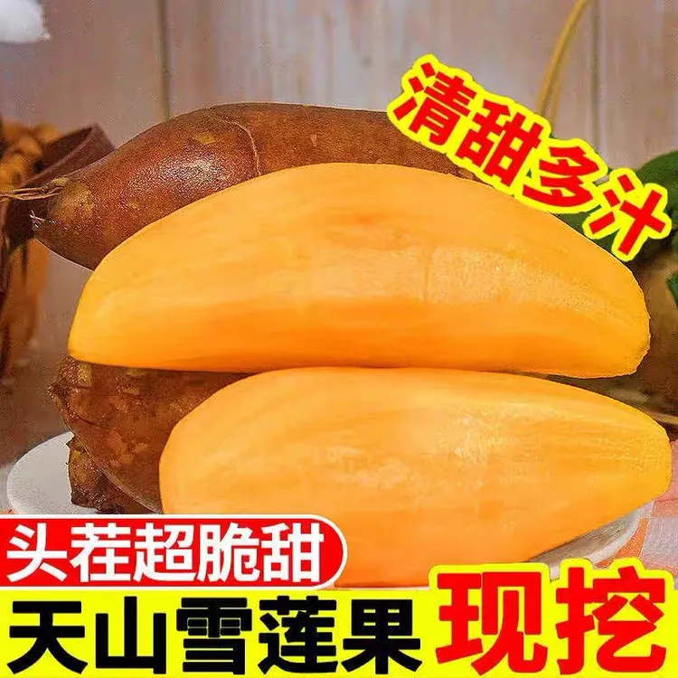 【头茬鲜果】云南天山雪莲果孕妇红心雪莲果整箱包邮爆汁清甜低糖