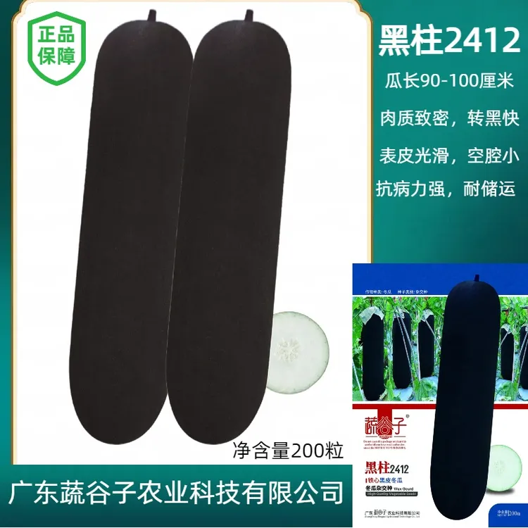 【蔬谷子】2412黑皮大冬瓜种子中晚熟快转黑高产农家蔬菜种子