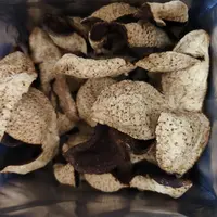 【小鑫大力推荐】代用茶·新会茶坑奶香可可香圈枝大红皮陈皮
