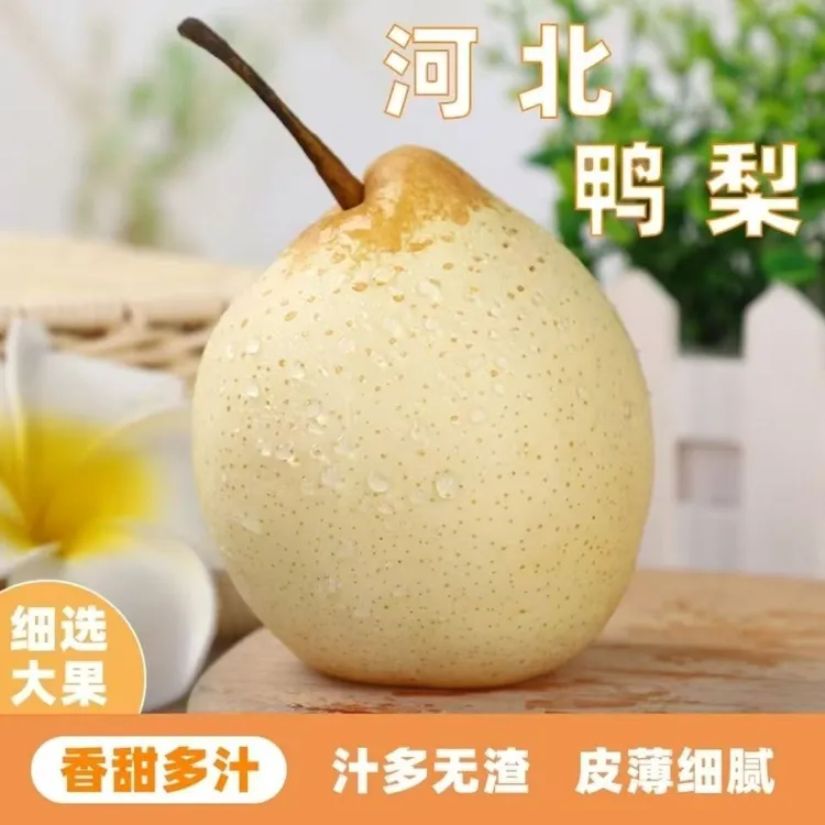 河北赵县鸭梨新鲜脆甜多汁当季水果非鸭梨砀山梨酥梨