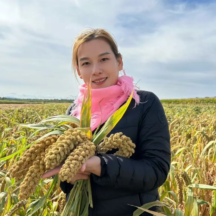 【佳佳专属】内蒙古赤峰小米敖汉旗新米5斤袋装软糯香甜米油浓郁辅食孕妈煮粥