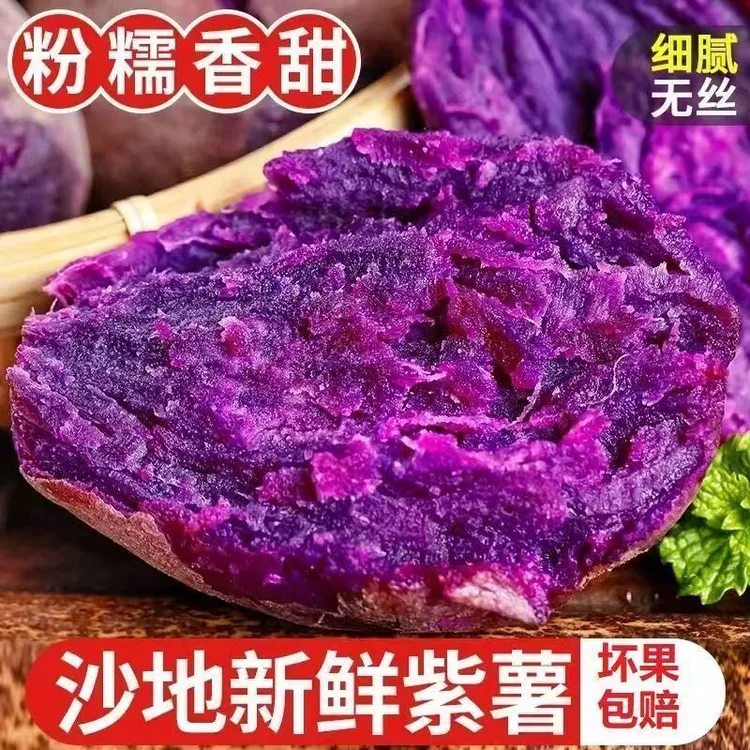 2025年云南沙地紫薯香甜软糯紫薯新鲜正宗紫罗兰番薯蜜婴儿辅食