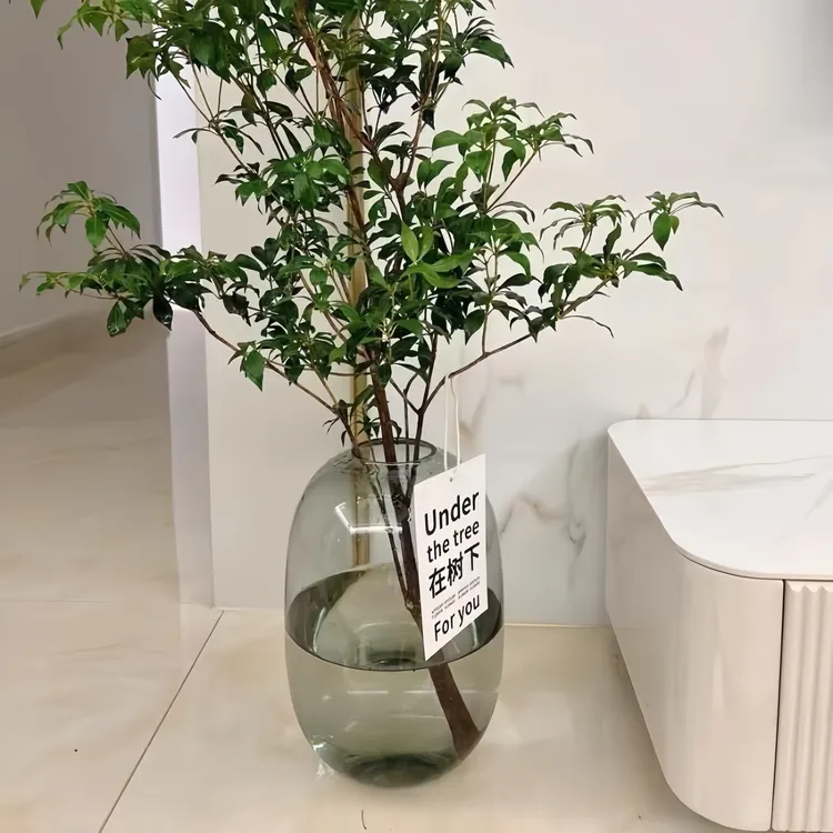 南天竹马醉木花瓶玻璃透明龟背竹南天竹吊钟专用高级感轻奢艺术品