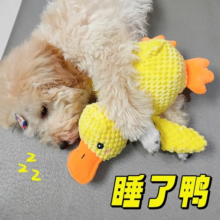 Hoopet小黄鸭狗狗玩具毛绒发声幼犬宠物泰迪柯基中小型犬磨牙解闷