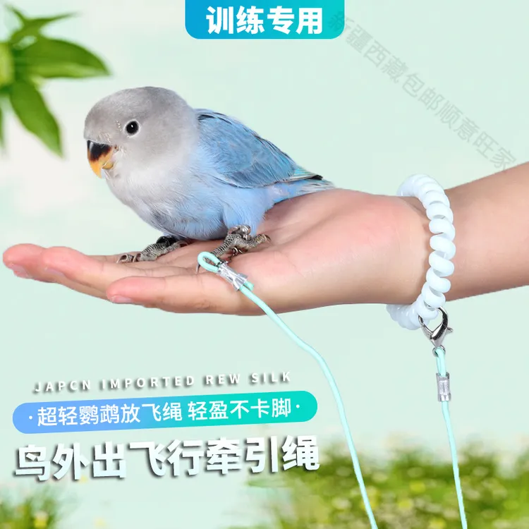 新疆西藏包邮遛鸟牵引绳弹力绳超轻训练绳玄凤小太阳和尚鹦鹉放飞