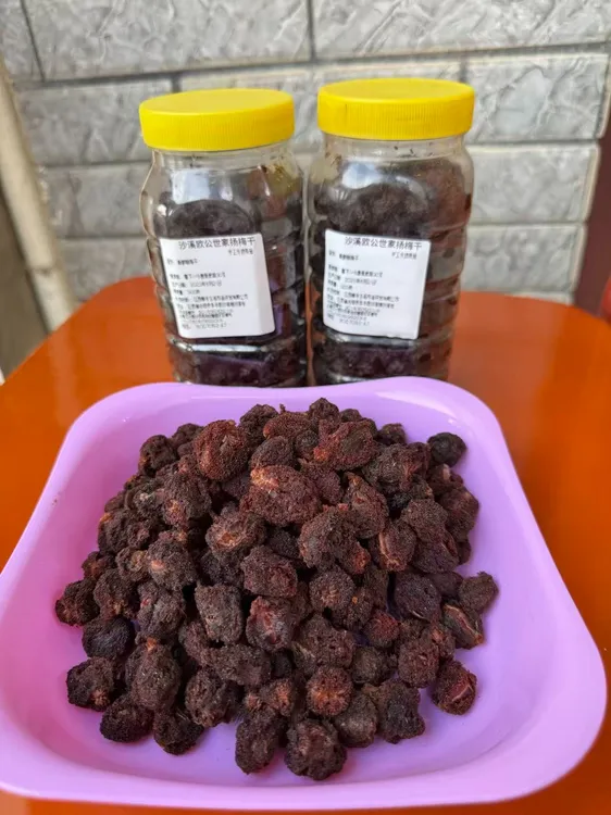 江西上固山杨梅新鲜晒干酸甜开胃可泡酒泡茶孕妇零食1斤