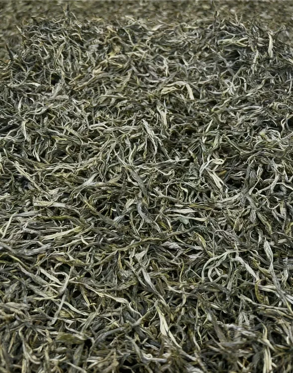 云南大叶种普洱茶古树茶（生普）