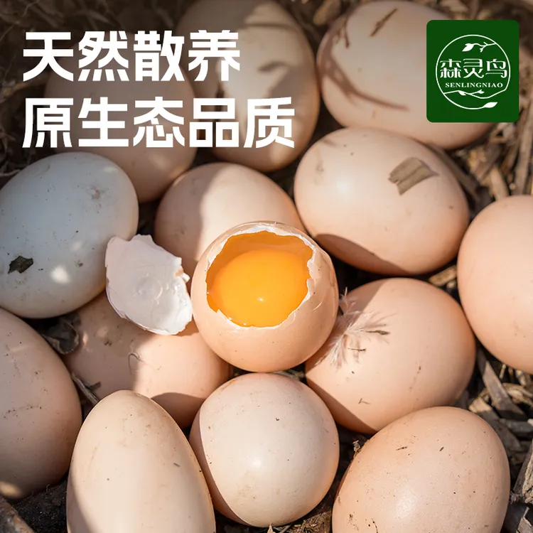 森灵鸟土鸡蛋山林散养鲜鸡蛋无抗初生蛋宝宝孕妇辅食土鸡蛋