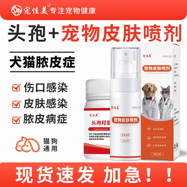 宠物猫狗皮肤感染伤口感染脓皮症皮肤掉毛皮屑护理宠物皮肤喷剂