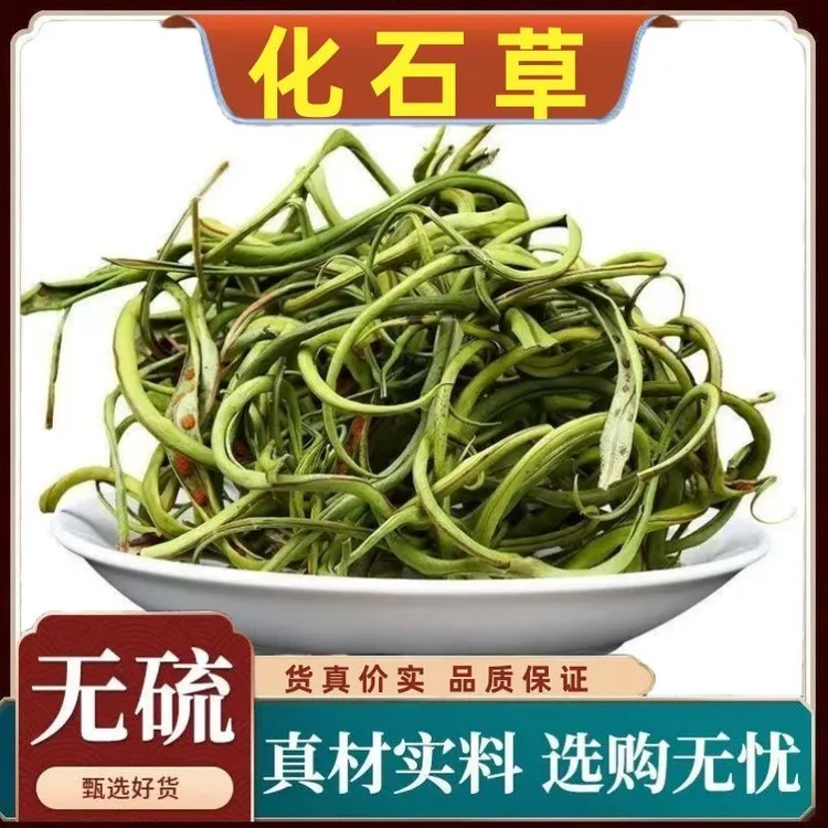 正宗化石草中药材长白山野生肾精茶化石草肾经长白山嗷嗷叫黄金草