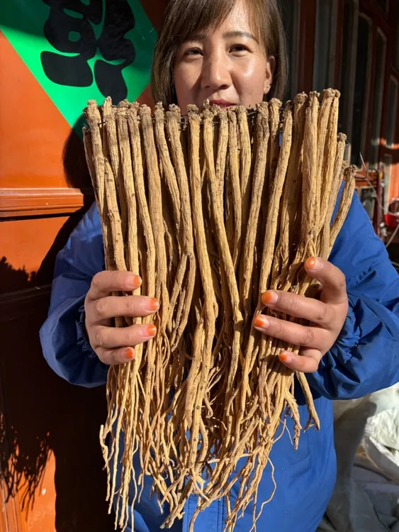 甘肃岷县精选种植大条党参（泡水 煮水 煲汤 炖肉）