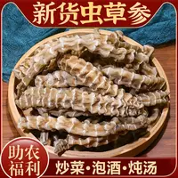 【第二件0元】正宗虫草参干货正宗地参
