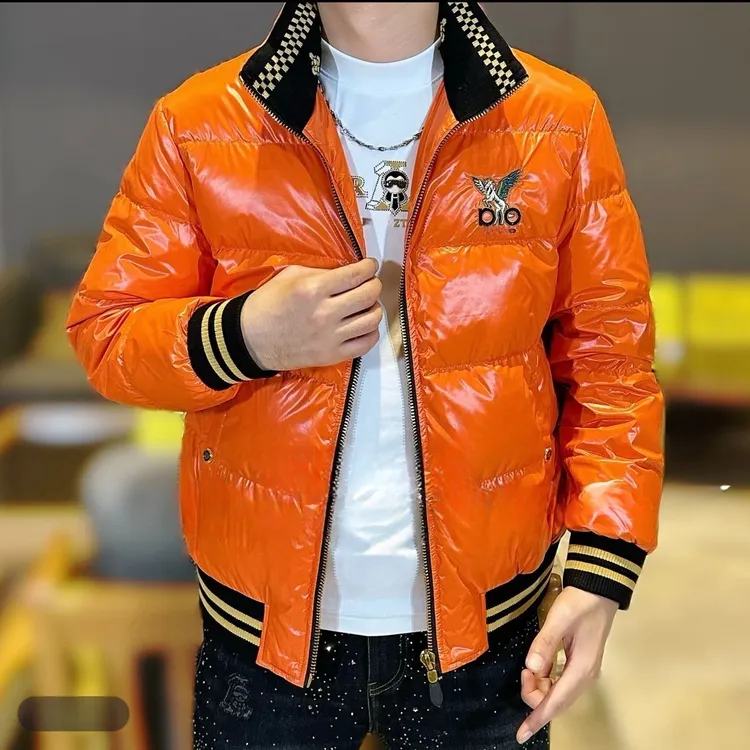 欧洲站 冬季新款轻奢潮流修身时尚潮牌男士立领天马刺绣羽绒服潮