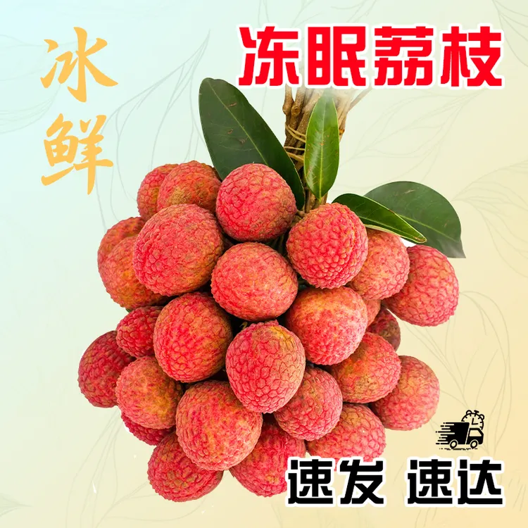 新鲜冷冻荔枝新鲜水果应季采摘速冻冻眠荔枝液氮锁鲜现货发货冷冻