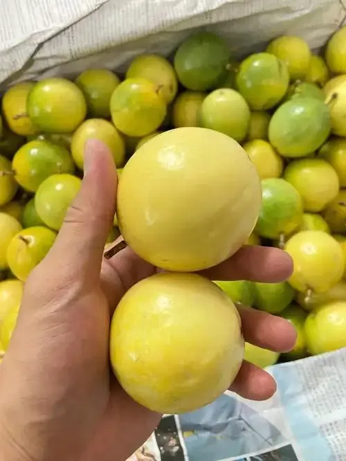 钦蜜9号黄金百香果新鲜当季水果