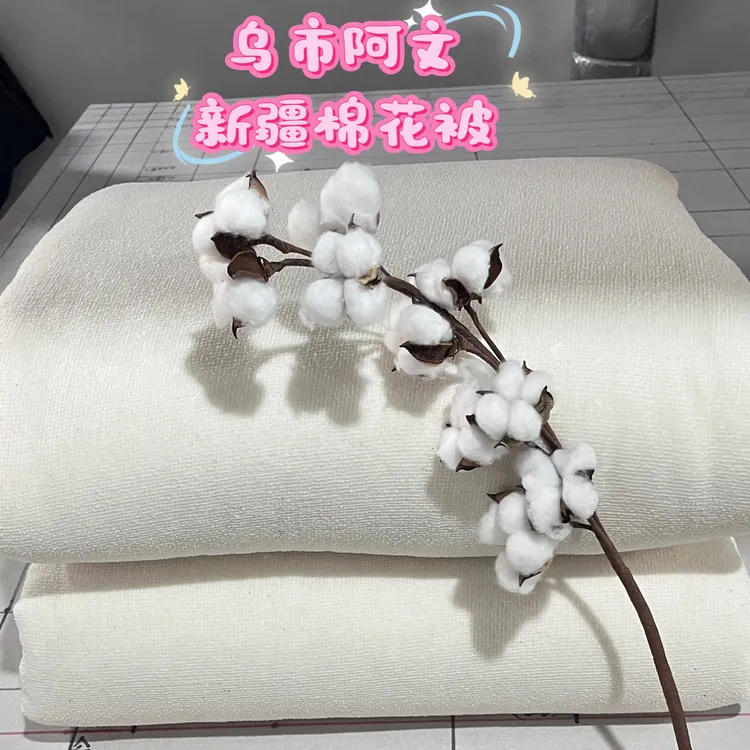 《关注主播立减10元》2*2.3米【6斤不包布】新疆棉花被被子棉胎