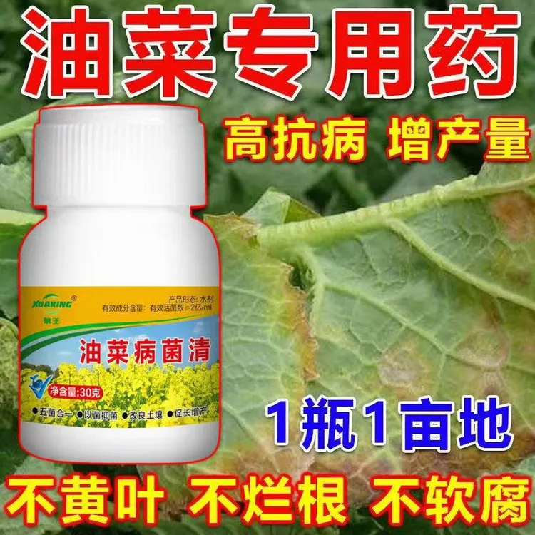 油菜专用微生物肥料油菜病全治烂根黄叶菌核病菌核软腐霜霉病防冻