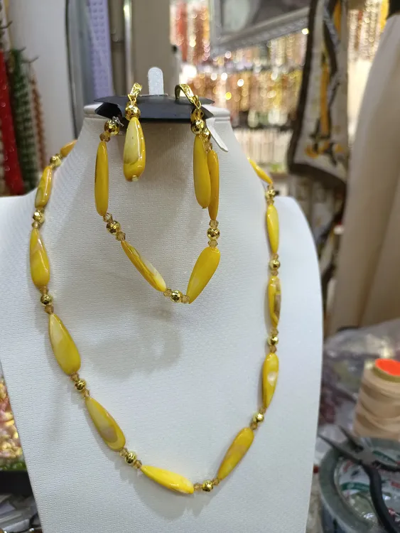 不锈钢贝壳项链 漂亮美丽的珊瑚。