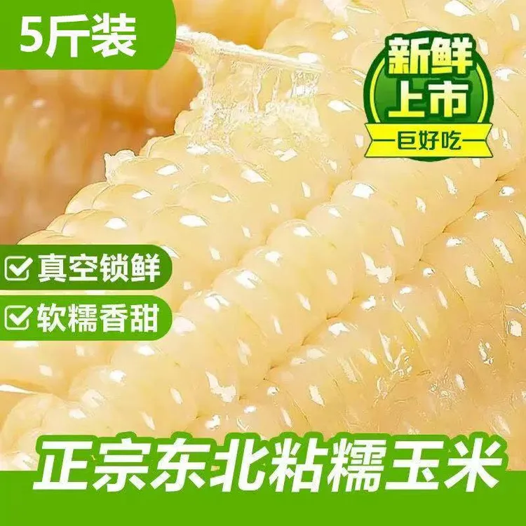 【万人疯抢】2025头茬新鲜黏糯玉米东北白糯玉米软糯香甜粗粮早餐