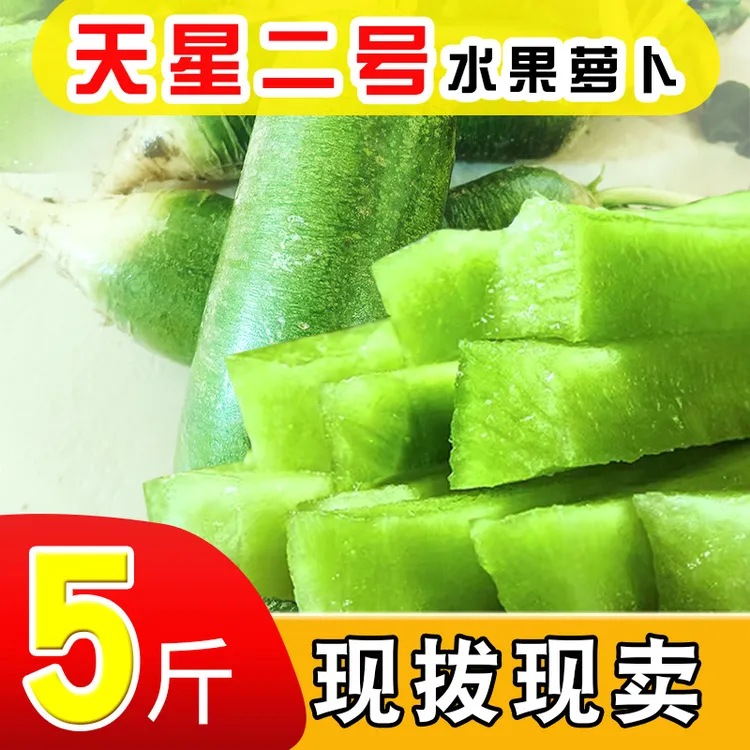 【天星二号】天津正宗沙窝村水果萝卜天星02青萝卜脆甜多汁5斤生吃