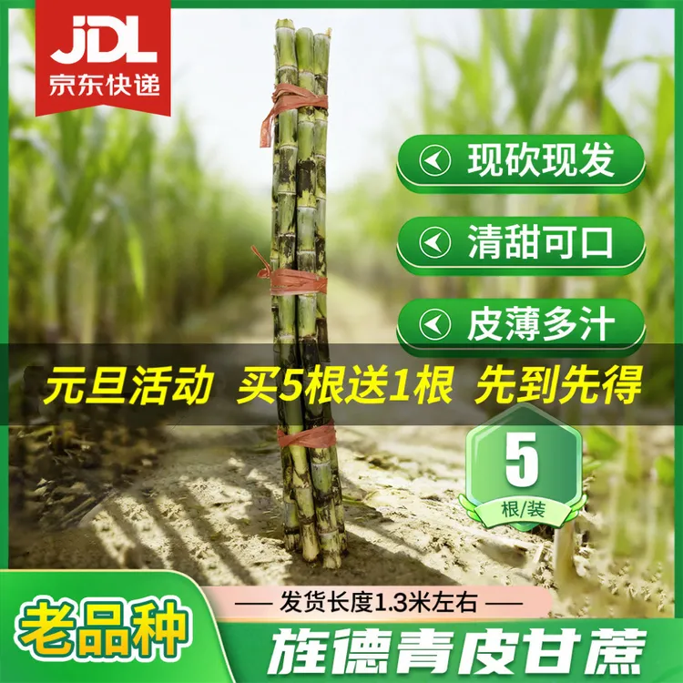 皖南旌德青皮水果甘蔗薄皮多汁5根装京东快递