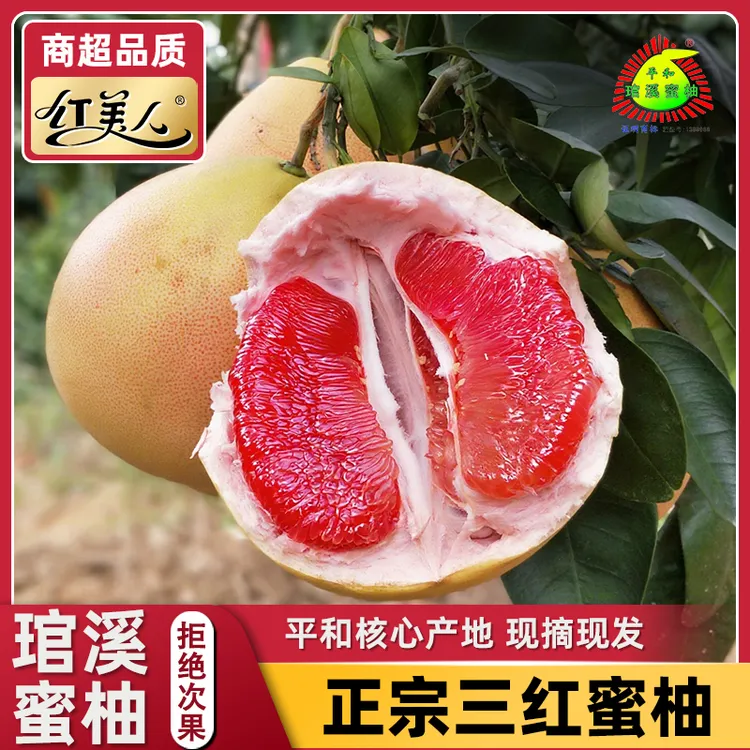 【琯溪蜜柚】琯溪蜜柚 平和三红蜜柚新鲜采摘爽口当季水果上