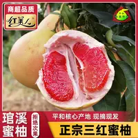 【琯溪蜜柚】平和三红蜜柚新鲜采摘柚子香甜爽口多汁当季孕妇水果上