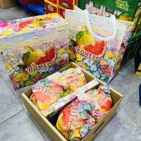 小胖孩礼盒柚子 4枚果