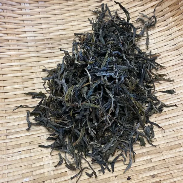 正气塘古树生茶春茶百年树龄一泡甘甜