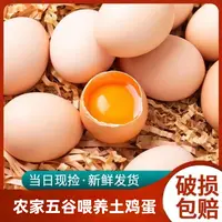 【竹林】 农家放养粉壳土鸡蛋 50枚/2000g 