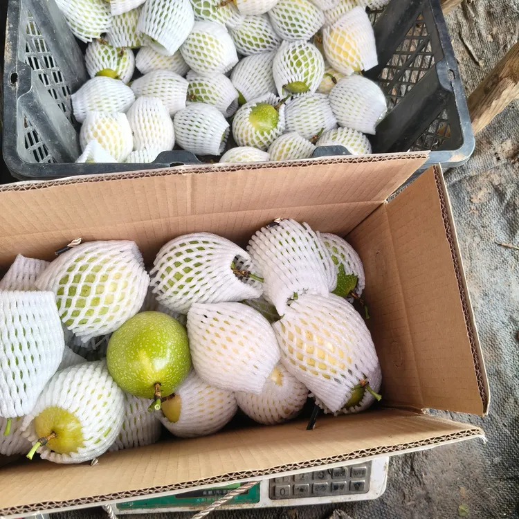 贵州兴义马岭峡谷风景区钦蜜9号百香果鲜果新鲜应季水果香甜浓郁