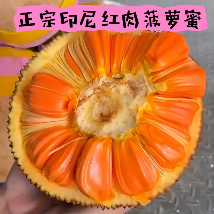 正宗印尼红肉菠萝蜜海南直发当季水果一整个发货菠萝蜜