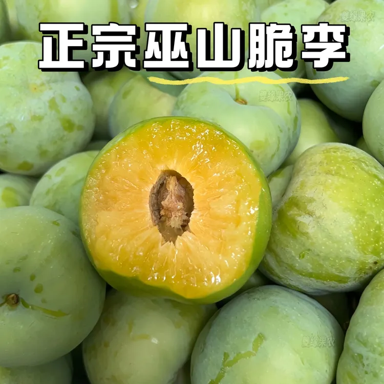（顺丰冷链）正宗巫山脆李青脆脱骨李新鲜水果空心带箱5斤非蜂糖李