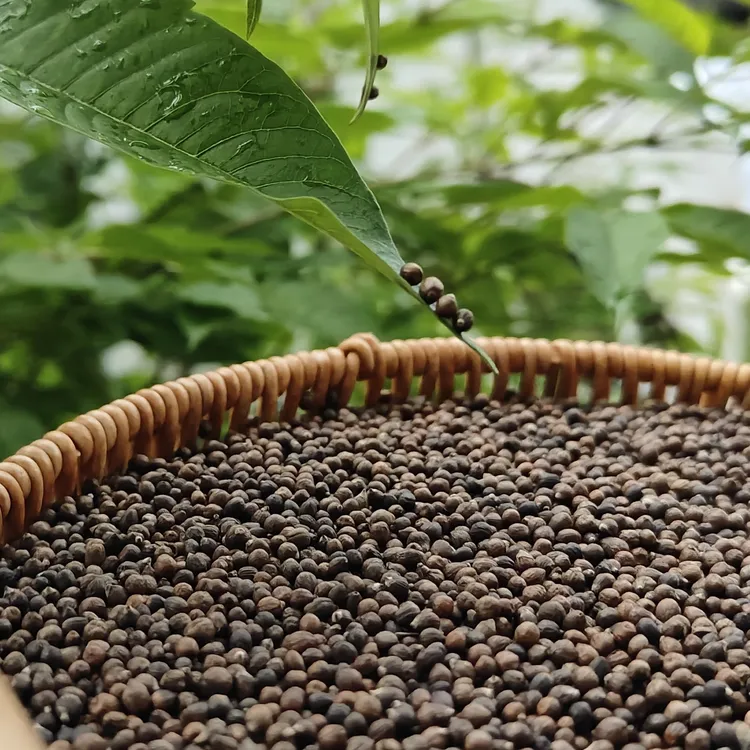 客家布惊仁枕头儿童中老年助眠护颈枕枕芯散装填充物