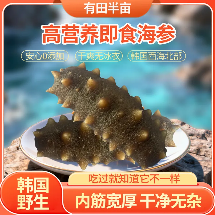 有田半亩一斤装纯野生即食海参10～12根