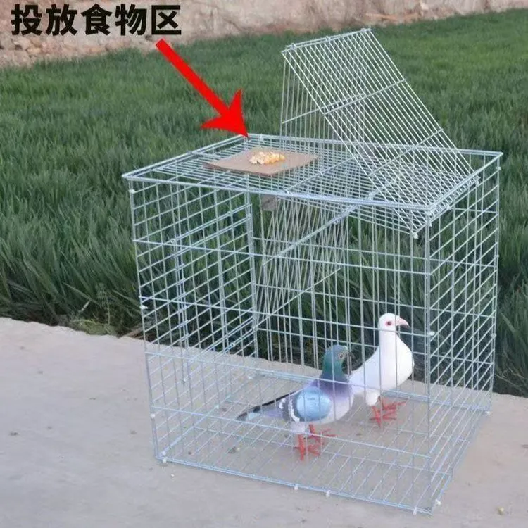 新款家用自动旋转鸽子笼加粗加密翻转鸽子笼