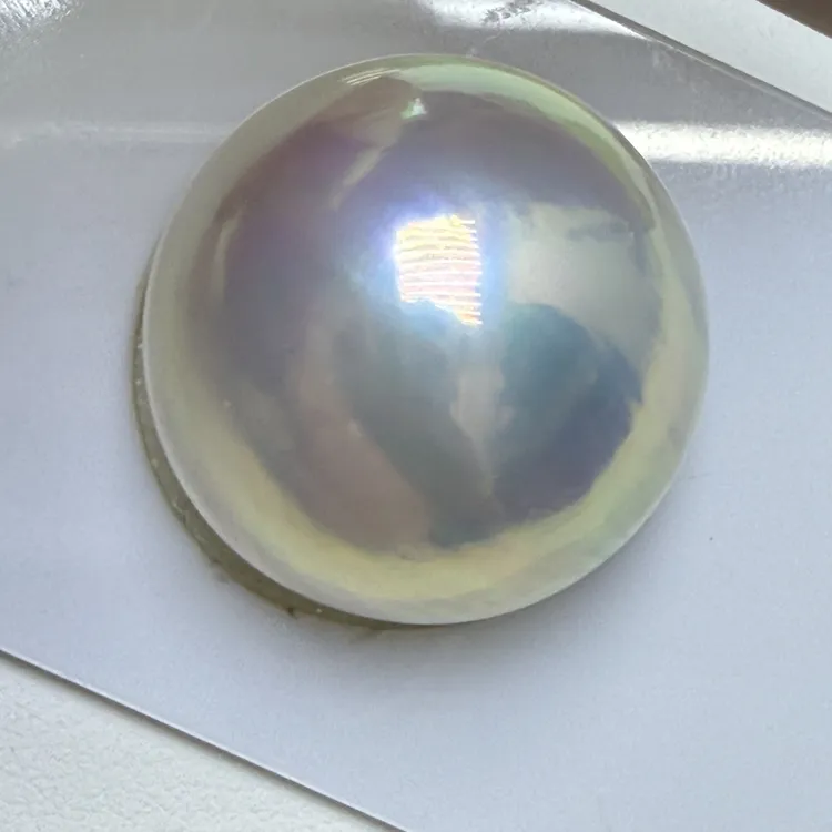 22mm大白海水马贝