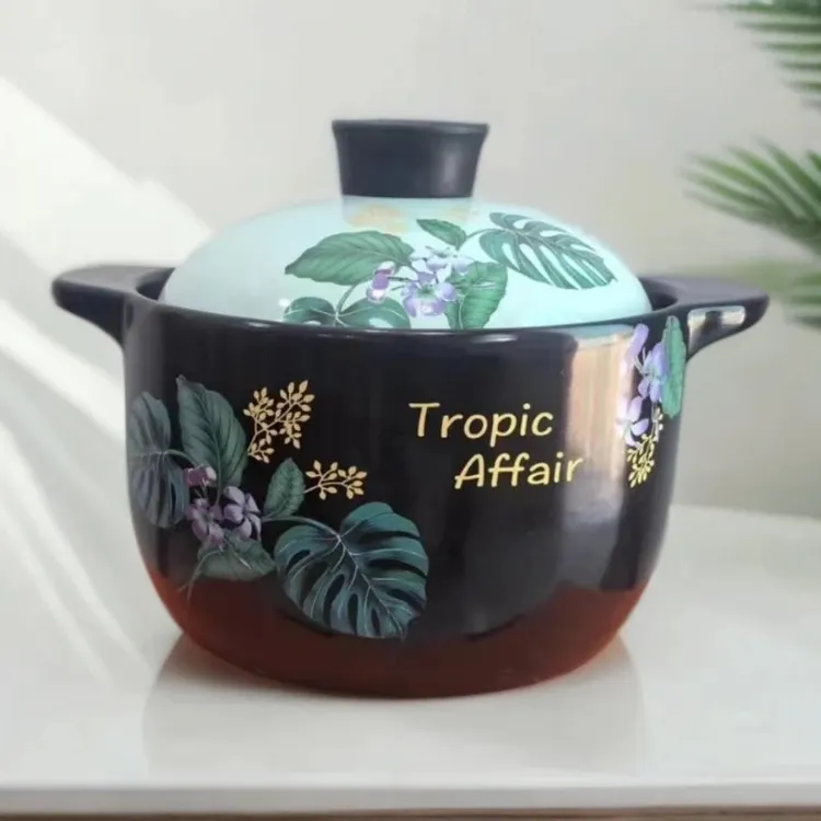 【超值推荐】4L新款热带雨林煮粥煲汤砂锅炖锅汤锅明火燃气可用