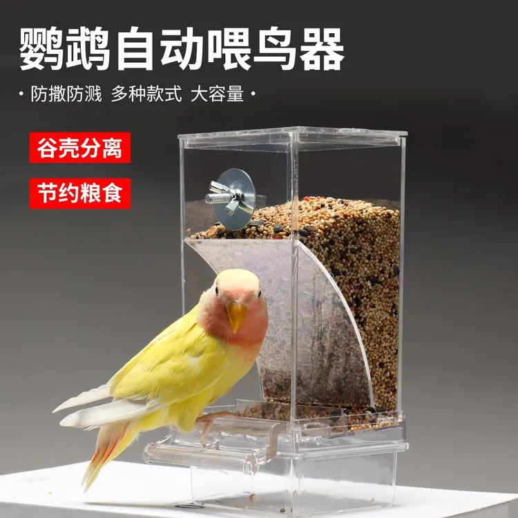 虎皮玄凤牡丹小太阳和尚鹦鹉自动喂食器下料器鹦鹉必备的10种玩具