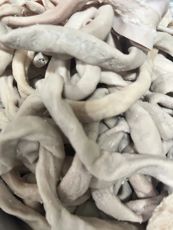 新鲜牛小肠清真焯水五成熟带油牛小肠