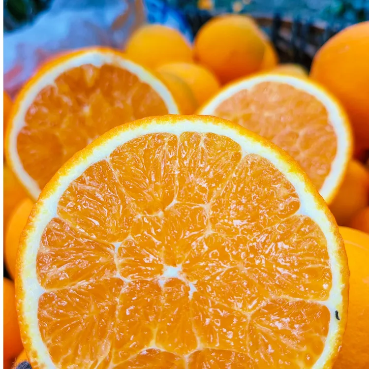 正宗四川雷波脐橙新鲜采摘酸甜可口果园直发新鲜水果