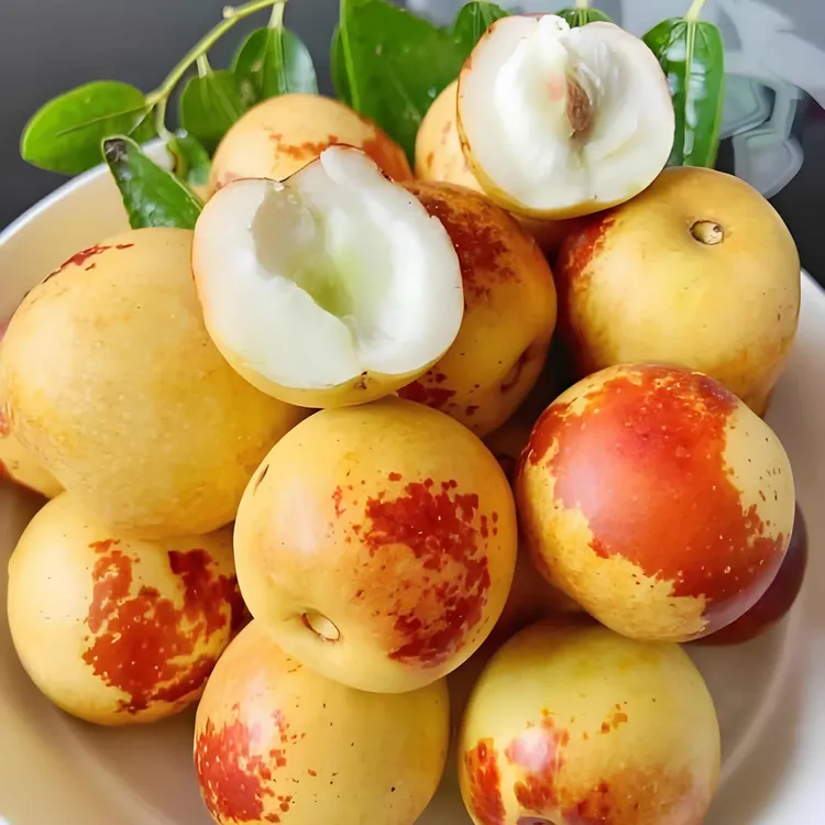 嫁接超甜冰糖脆枣树苗特大油蟠枣冬枣南北方阳台小院种植盆栽地栽