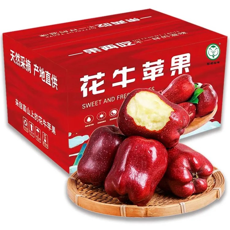 甘肃天水花牛苹果脆粉两吃当季新鲜水果红老花牛现货包邮甘肃发货