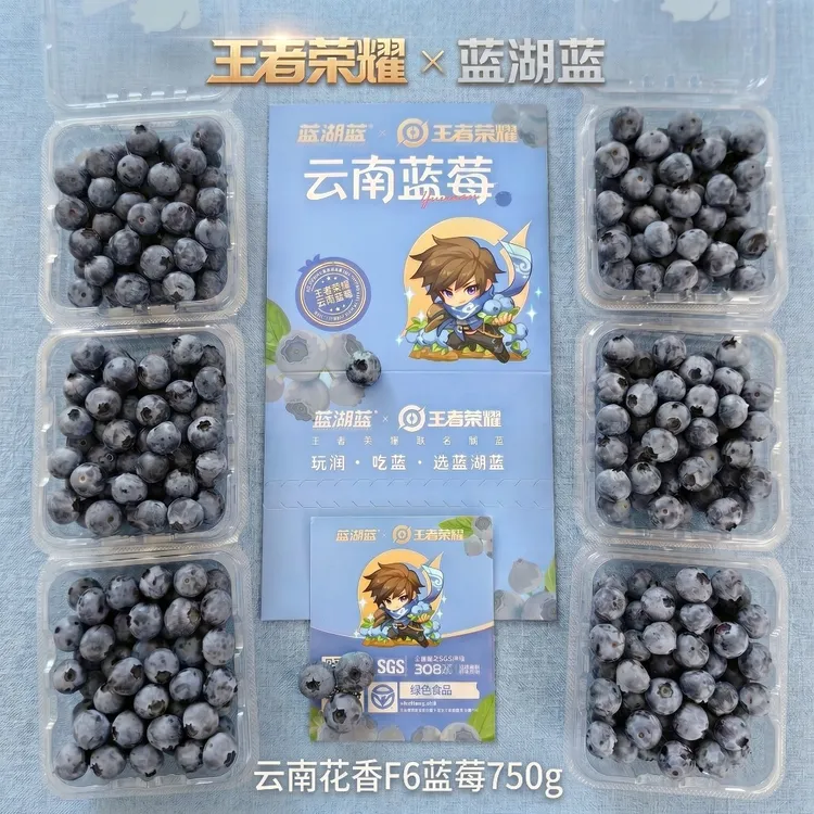 蓝湖蓝王者荣耀联名云南花香蓝莓中果15-18mm装 SGS检测 顺丰空运