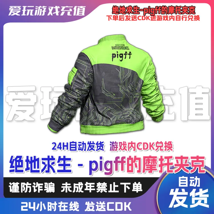 Steam绝地求生PUBG皮肤PigFF夹克cdk兑换码 官方正品饰品秒发货