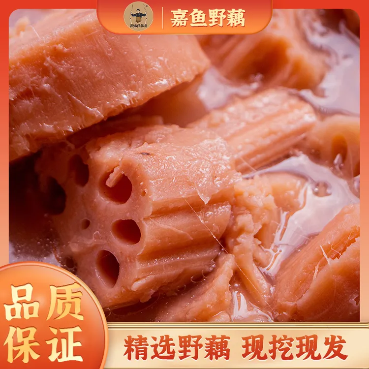 野藕嘉鱼湖地野藕当季新鲜现挖现发粉藕煲汤粉糯鲜甜清炒美味