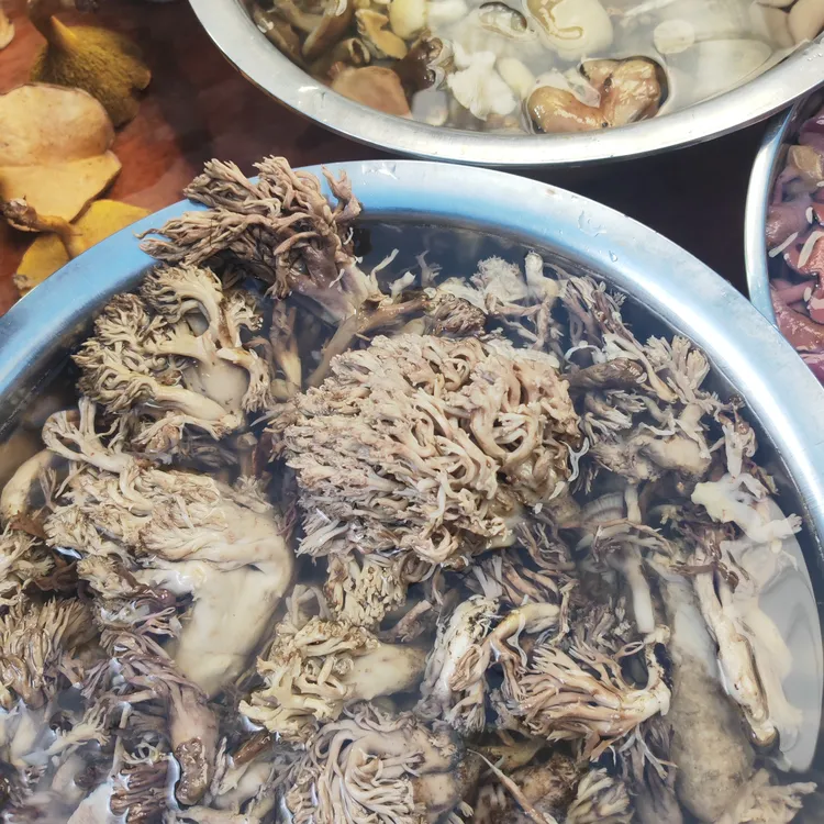 重庆高山新鲜杂菌可炒菜炖汤