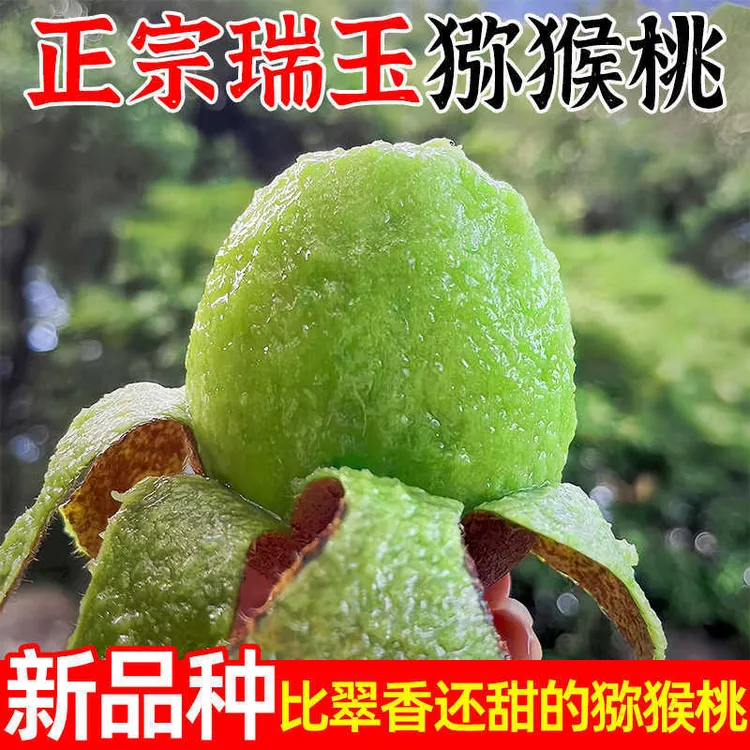 陕西特产猕猴桃奇异果新鲜采摘纯甜无酸新品瑞玉猕猴桃包邮